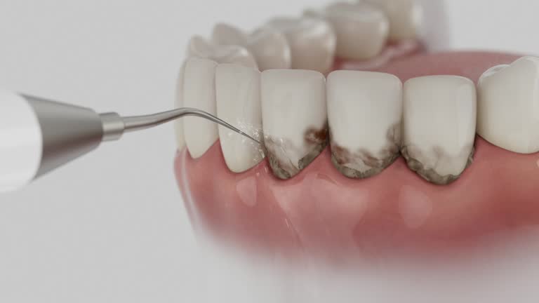 Reliable Dental contractor in Eastmont, WA by Dentist Open Now